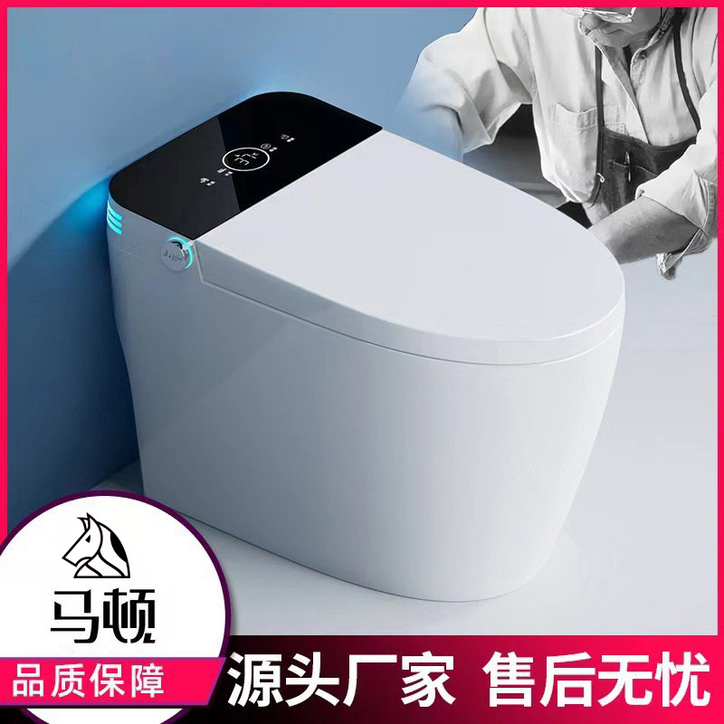 Smart Toilet