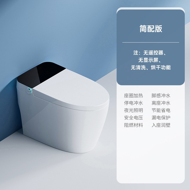 Smart Toilet